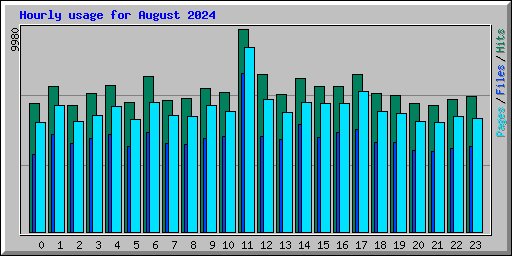 Hourly usage for August 2024