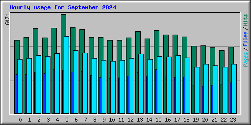 Hourly usage for September 2024