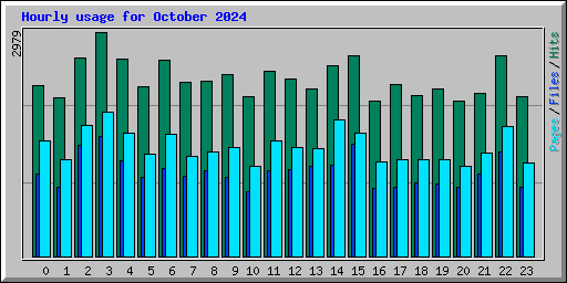 Hourly usage for October 2024