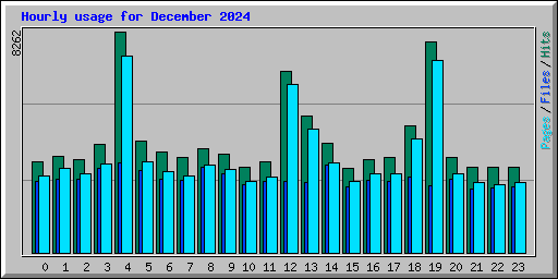 Hourly usage for December 2024