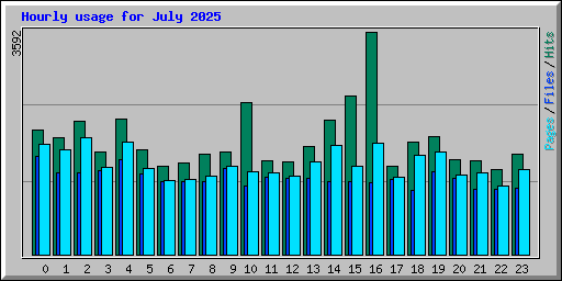 Hourly usage for July 2025