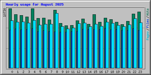 Hourly usage for August 2025