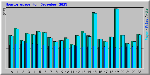 Hourly usage for December 2025