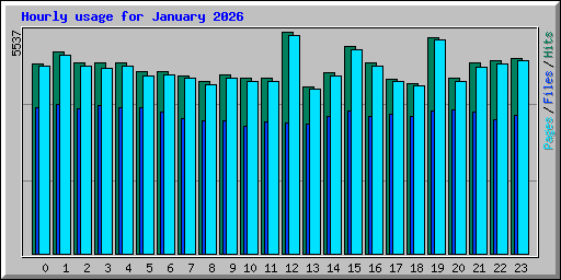 Hourly usage for January 2026